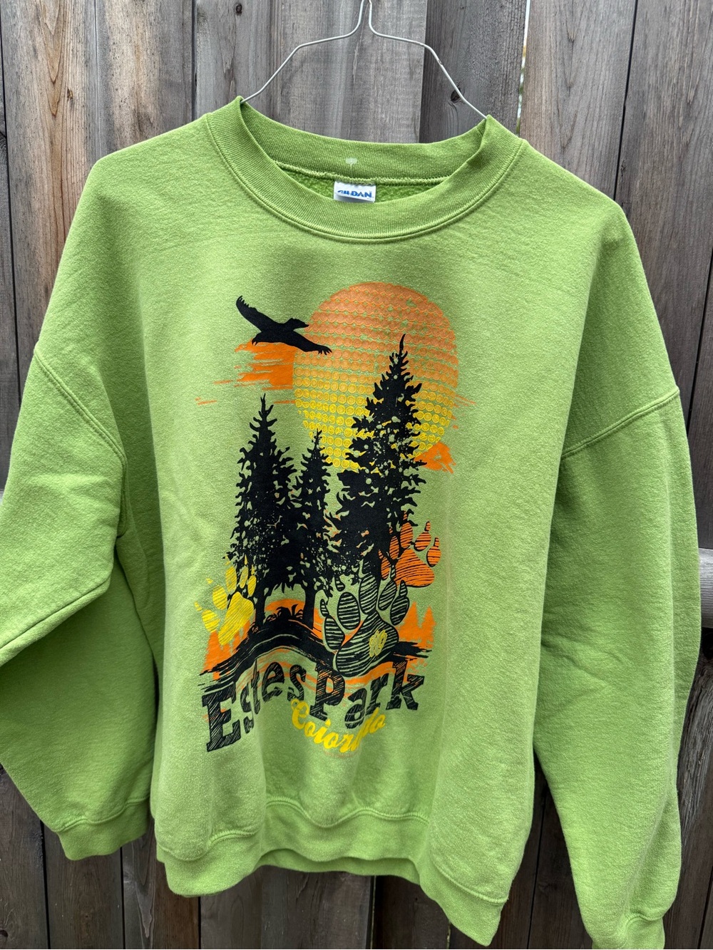 VintagGildan Light Green Estes Park Graphic Sweatshirt with Orange & Black Print